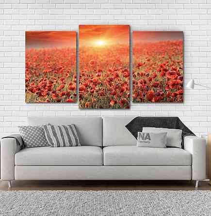Модульная картина Природа Маки 2 Art-65_3 Киев