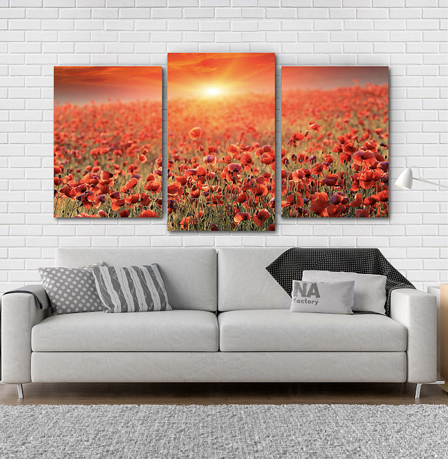Модульная картина Природа Маки 2 Art-65_3 Киев - изображение 2