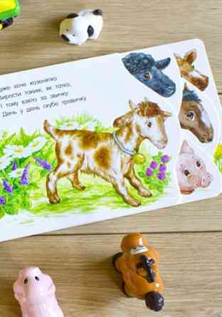 Картонки-развивайки 410023 Первые шаги. На ферме Винница