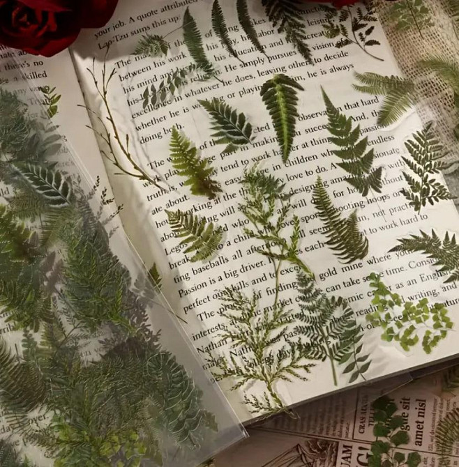 Глянцевые наклейки с зелеными листьями папоротника, 6 листов, самоклеящиеся ПВХ-стикеры с блестящим покрытием Киев - изображение 1