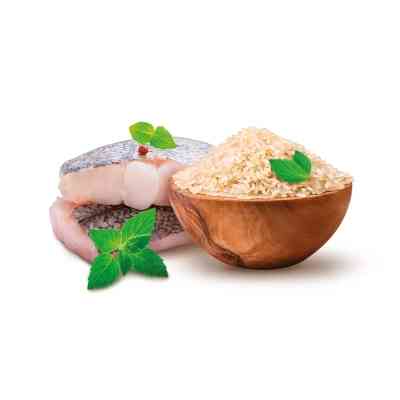 Сухий корм для собак Home Food ADULT MINI Hypoallergenic з фореллю та рисом 1.6 кг (4820235020309) Вінниця