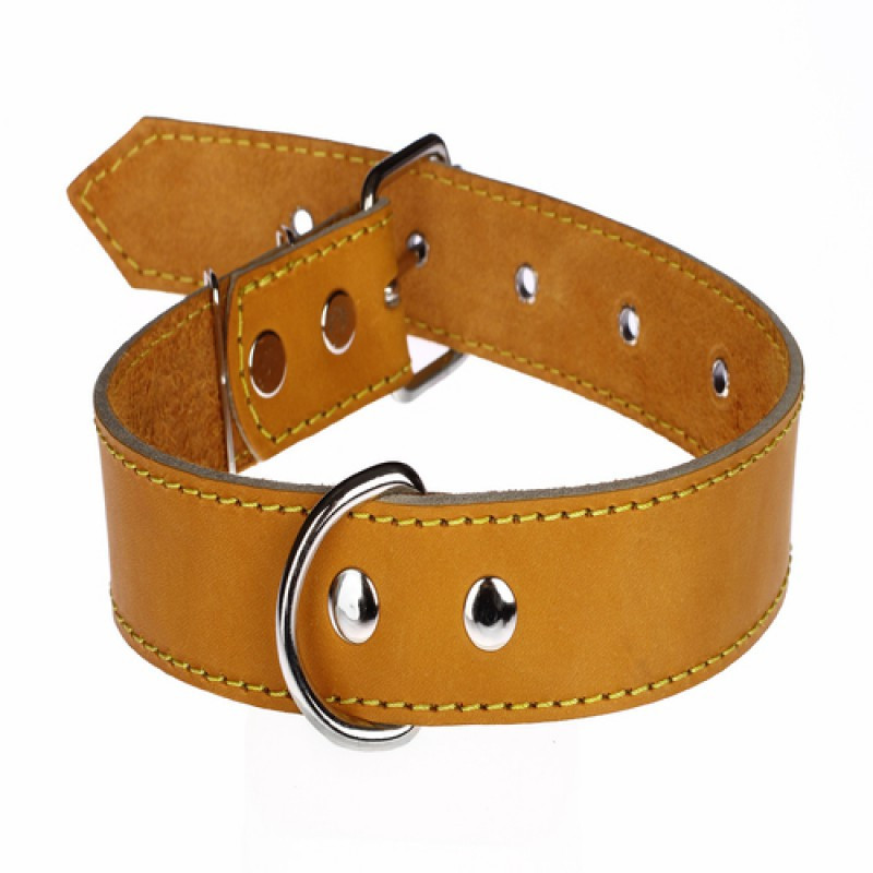 Нашийник 511 35мм "Класик" шкіряний Вінниця - фото 1