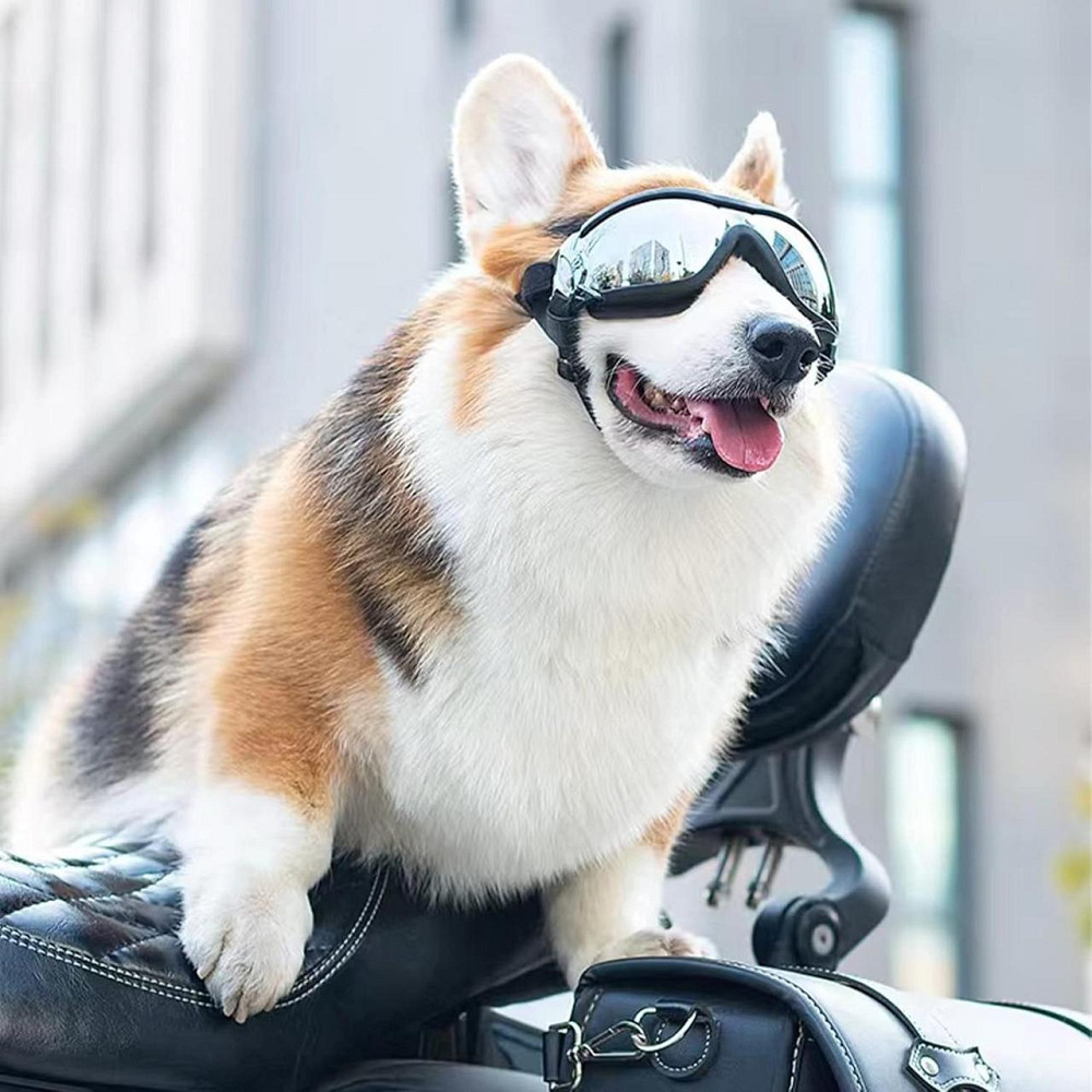 Захисні окуляри для собак з УФ-захистом, регульовані, вітрозахисні, водонепроникні, проти запотівання, для великих порід Київ - фото 2