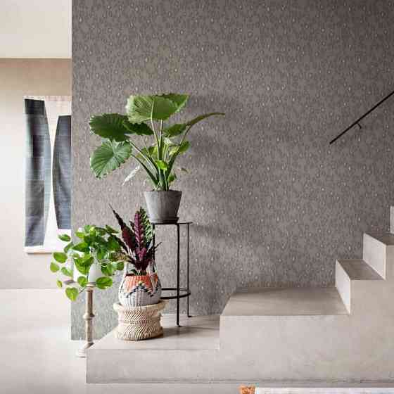 Шпалери BN International Grand Safari 220554 Київ