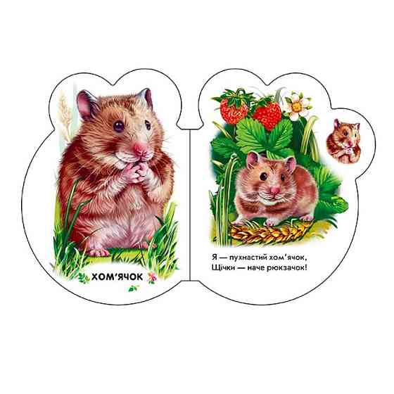 Картонная книжечка для самых маленьких Малыши : В селе 411016 аудио-бонус Винница