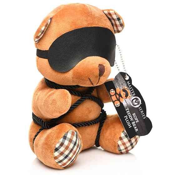 Плюшевий ведмедик ROPE Teddy Bear БДСМ у шкіряній масці та обв’язці, 22x16x12 см Sex Aura Київ