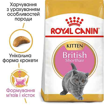 Корм для котят ROYAL CANIN KITTEN BRITISH SHORTHAIR 2.0 кг Киев