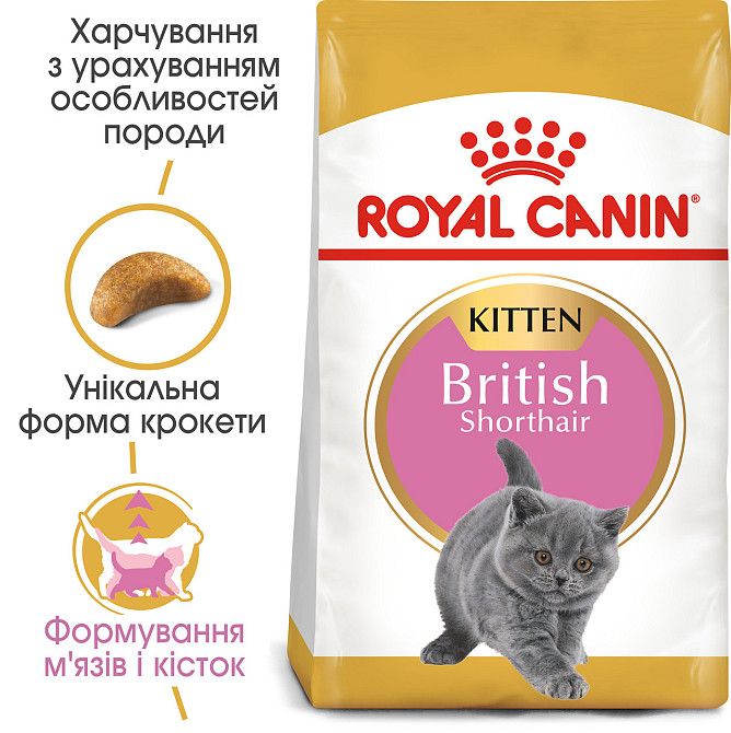 Корм для кошенят ROYAL CANIN KITTEN BRITISH SHORTHAIR 2.0 кг Київ - фото 2