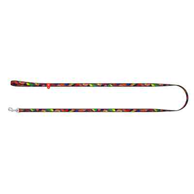 Поводок для собак WAUDOG Nylon "Витраж" XS 10 мм х 122 см (5234) Винница