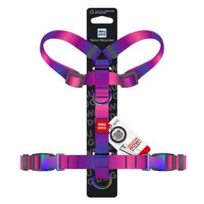 Шлей для собак WAUDOG Nylon Recycled анатомическая H-образная с QR-паспортом, градиент, S фиолетовая (52869) Винница
