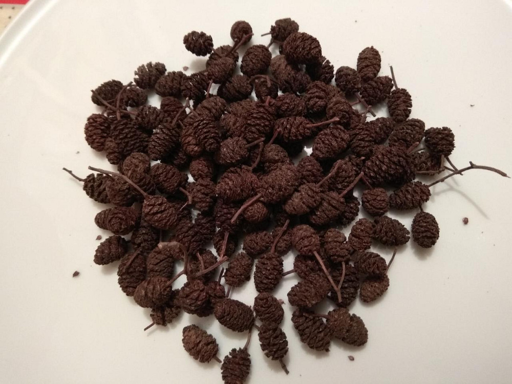 Вільхи (шишки), 100г. Київ - фото 1