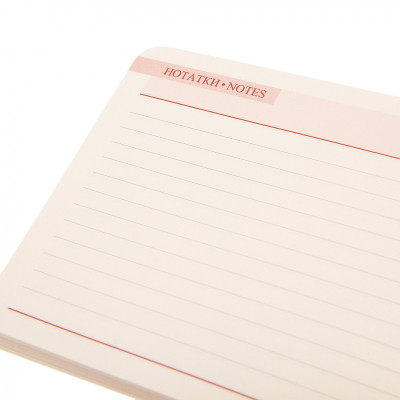 Еженедельник Leo planner датированный 2025 Apiro 10х15 см 128 страниц (252571) Винница - изображение 6