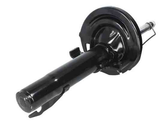 Амортизатор передній (ППД) Raiso (Швеція) Renault Megane II, Рено Меган 2 02- #RS338712 UAOOCLU22 Ковель