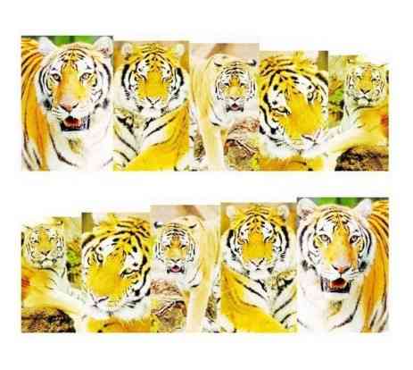 Наклейки для ногтей 