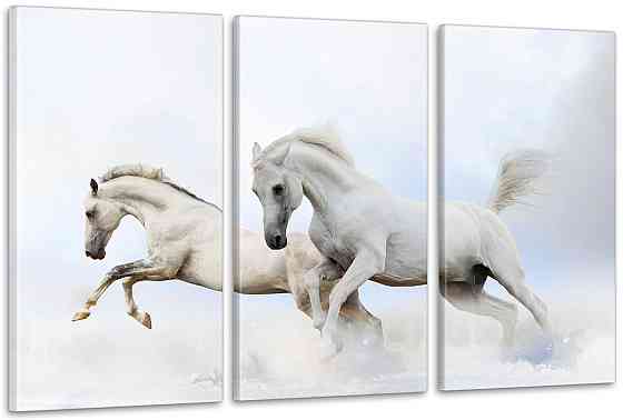 Модульная картина Белые Лошади Аrt-129_3А 100x150 см Киев