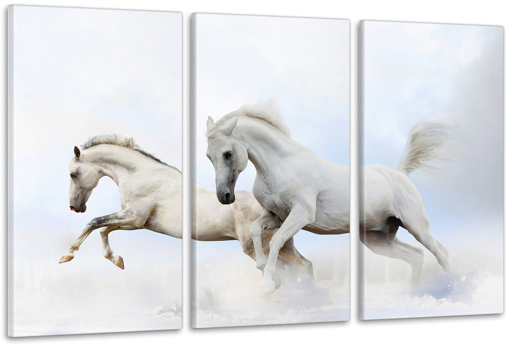 Модульна картина Білі Коні Аrt-129_3А Київ - фото 1