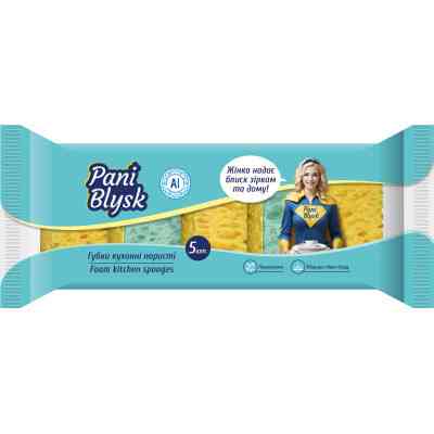 Губки кухонные Pani Blysk Пористые 5 шт. (4823071661194) Винница