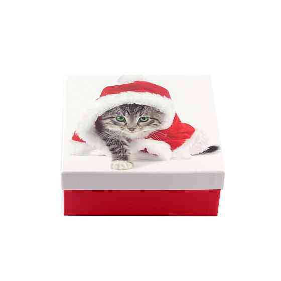 Коробка подарункова ООТВ Santa Cat 16 х 16 х 8 см Рівне