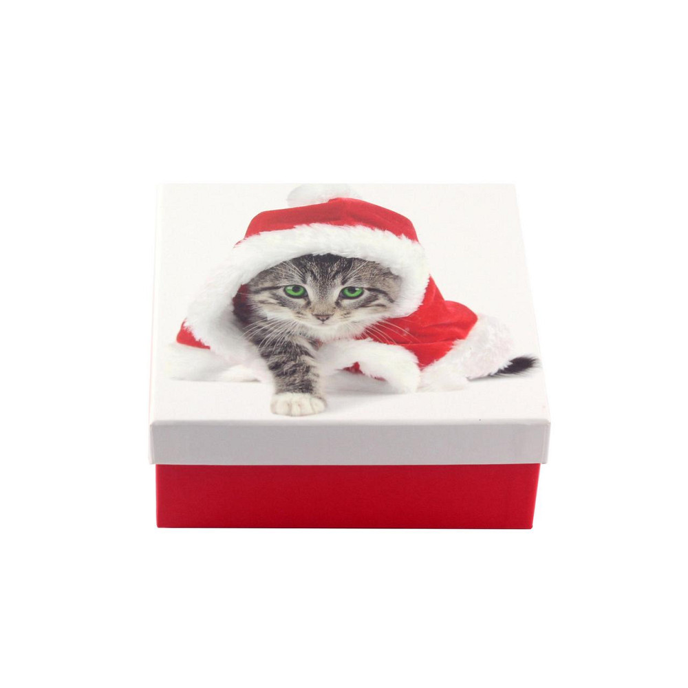 Коробка подарункова ООТВ Santa Cat 16 х 16 х 8 см Ровно - изображение 2