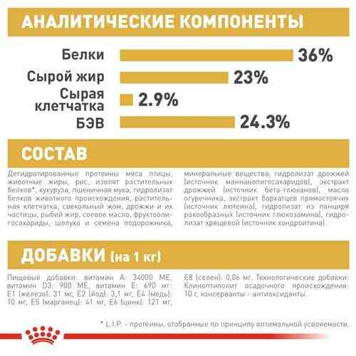 Royal Canin Maine Coon Kitten (Роял Канин Киттен мейн кун) сухой корм для котят 2 кг. Запорожье
