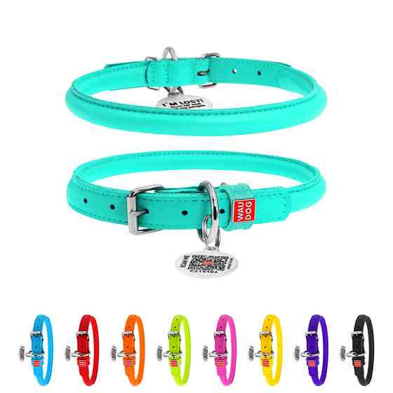 Нашийник для собак шкіряний WAUDOG Glamour з QR паспортом, круглий, Д 10 мм, Дов 33-41 см менто Коломыя