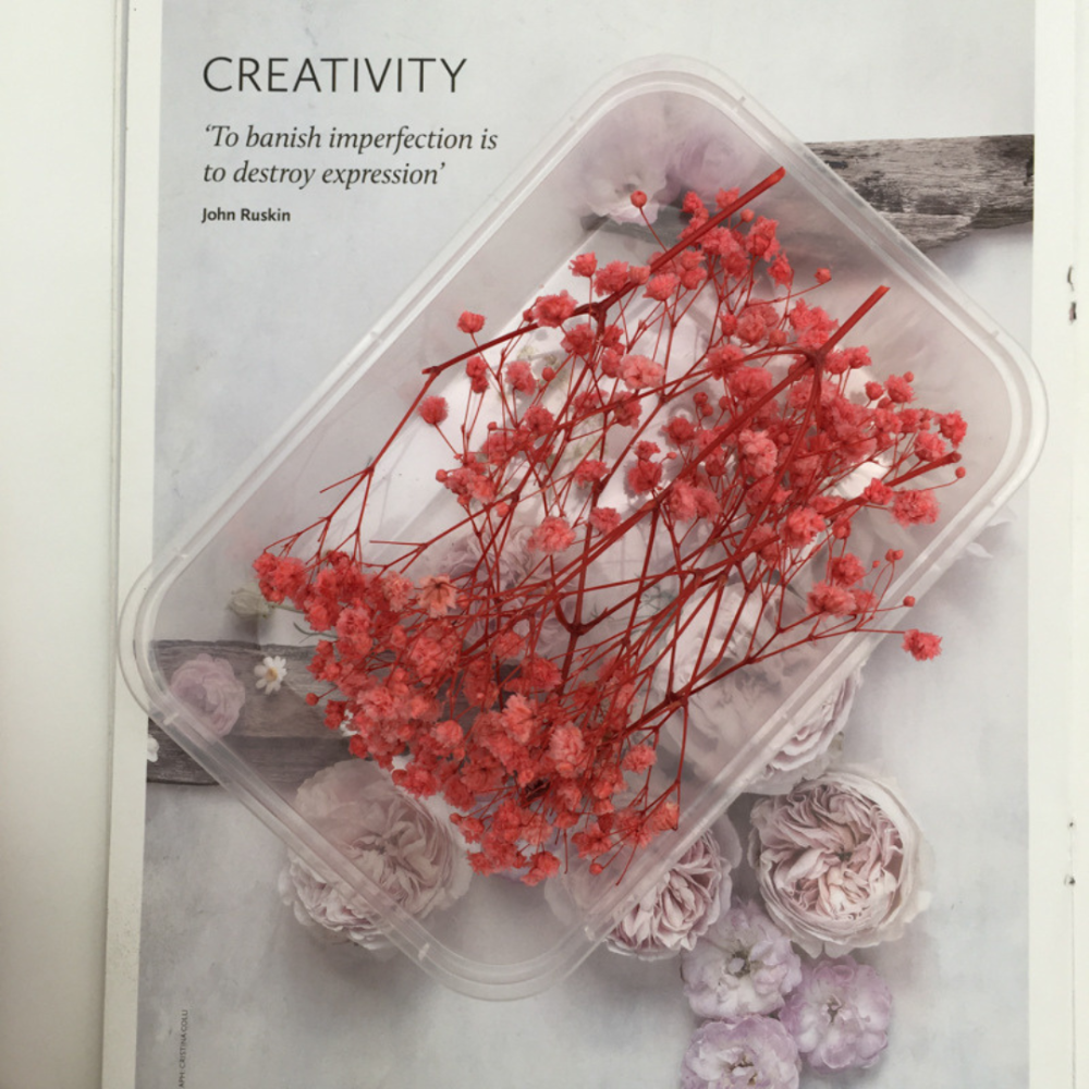 Стабилизированные ветки и цветы для мини-сада, микроландшафта, цветочных композиций, флорариума Одесса - изображение 4