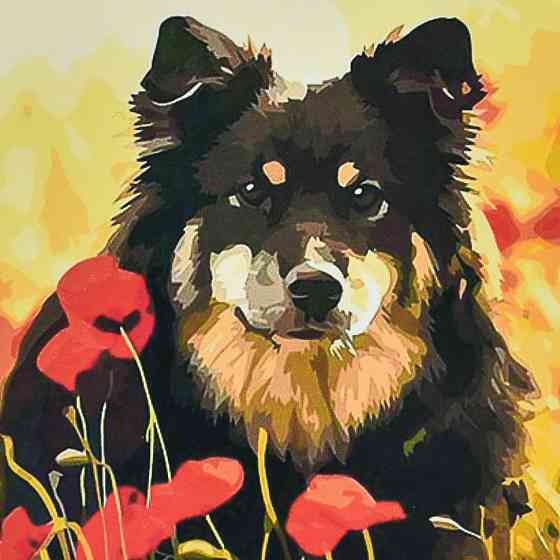 Алмазна мозаїка "Песик у маковому полі" HEE13812 30х30 см Вінниця