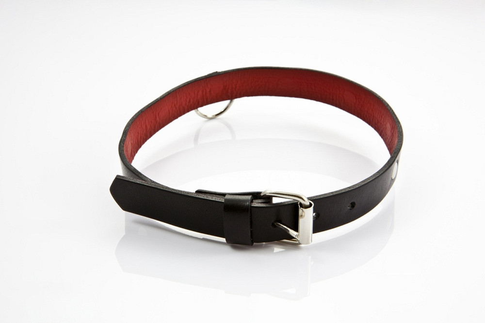 Ошейник - Whips Collection Collar For Her Sex Aura Киев - изображение 3