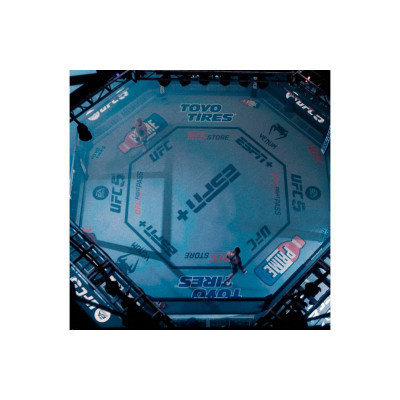 Игра Sony EA Sports UFC 5 , BD диск (1163870) Винница - изображение 7