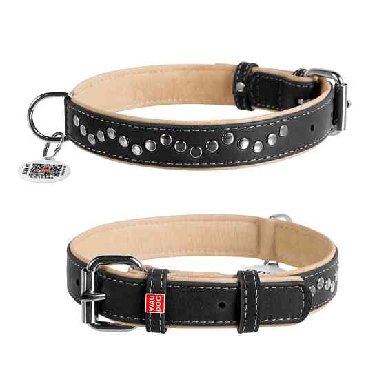 Нашийник для собак шкіряний WAUDOG Soft з QR паспортом, металічні прикраси, Ш 25 мм, Дов 38-49 Коломия