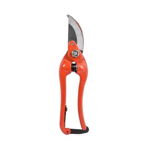 Секатор садовий 8" RG LINE PROFI - CARBON STEEL, KT-RG1027/8 Київ