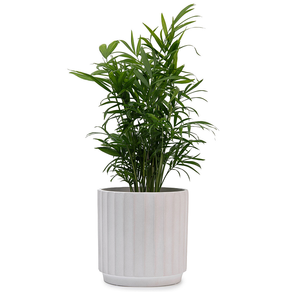 elemi Набір кашпо для квітів керамічні elemi "Грань" (13.5"; 16"; 20.5") (1,4 л; 2,4 л; 4,2 л) Коломыя - изображение 3