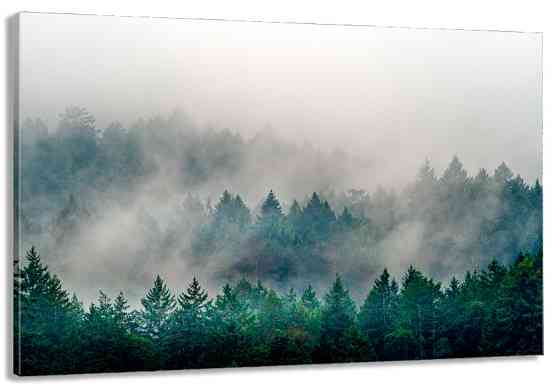 Картина холст в гостиную / спальню  Природа гір    MLP_299 80x120 см Киев