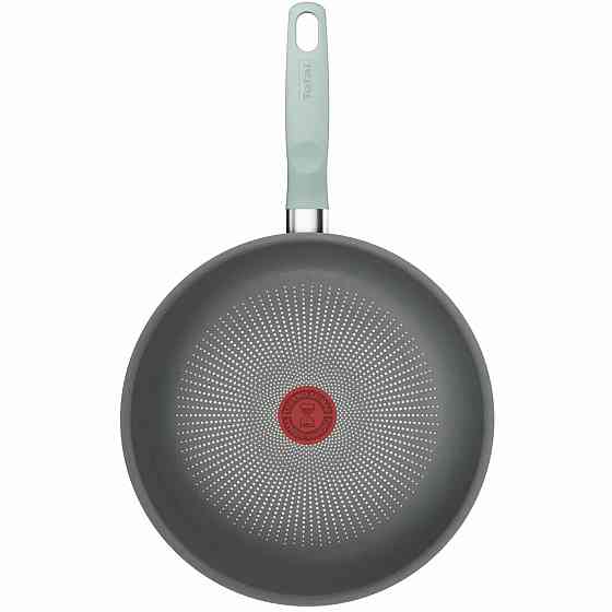Сковорода WOK Tefal Halo Eucalyptus 26 см (G0167702) ( 27219 ) Харьков