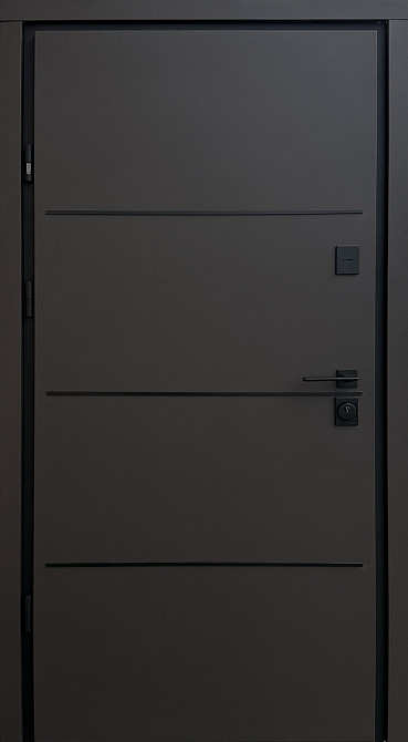 Двері вуличні, Optima Street Plus, модель PARTY D, 3 контури ущільнення Київ - фото 1