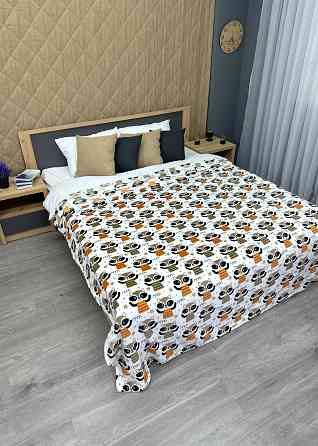 Плед-покривало Decorator WellSoft RACCOON 150х210 см з принтом "Єноти" (87-192) Київ