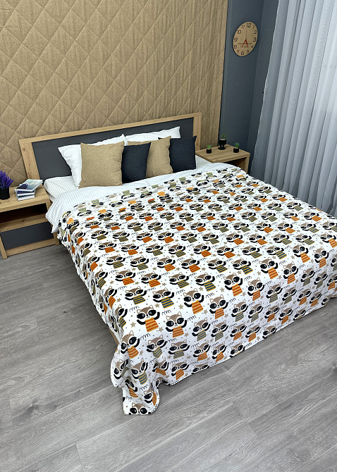 Плед-покривало Decorator WellSoft RACCOON 150х210 см з принтом "Єноти" (87-192) Київ - фото 4