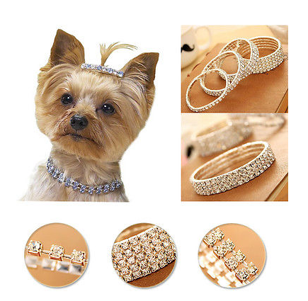 Намисто для собак дрібних порід Київ - фото 2