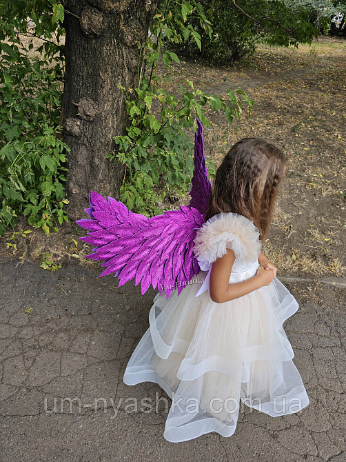 Фіолетові Крила великі Кривий Ріг - фото 4