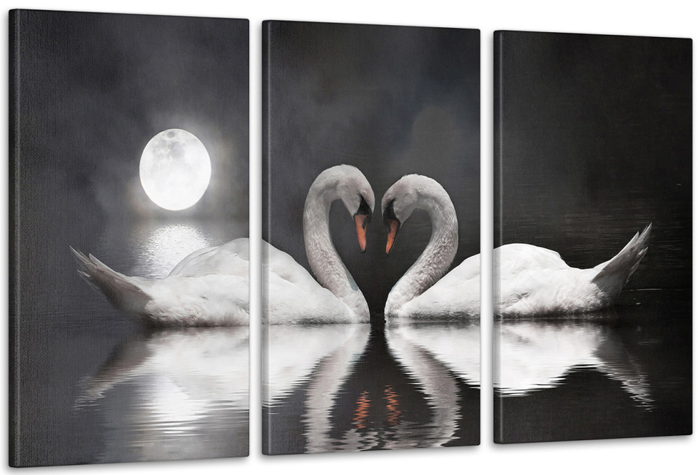 Модульная картина Луна Лебеди   Аrt-128_3А 70x130 см Киев - изображение 1