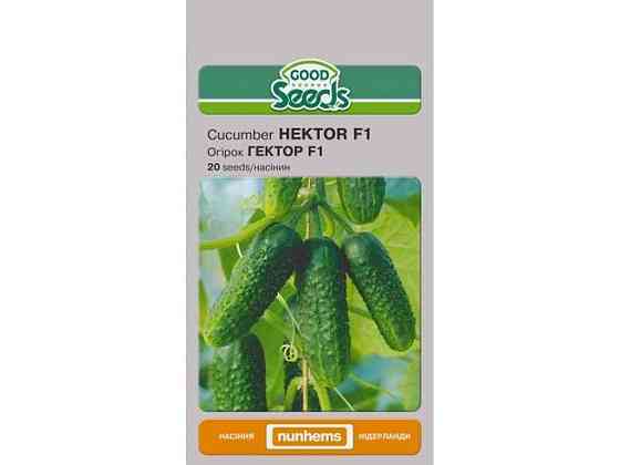 Огурец ГЭКТОР F1 [20 семян] (10 пачек) ТМ GOOD SEEDS Киев