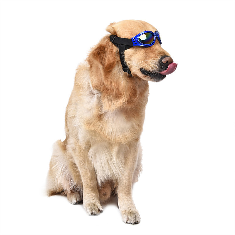 Окуляри для собак сині Київ - фото 3