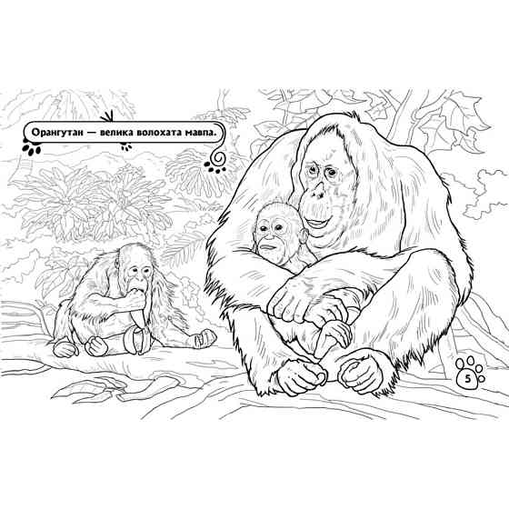 Дитяча розмальовка "Тварини у далеких краях" 583009, 16 сторінок Вінниця