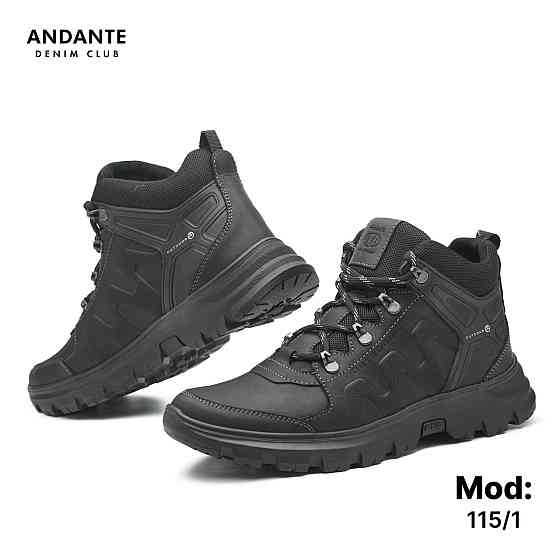 Чоловічі теплі зимові стильні черевики з натуральної шкіри та хутра артикул 115/1 41 (27) Харків