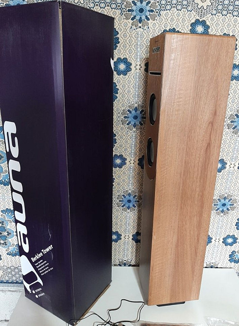 Музыкальная Колонка : AUNA BERKLEE Tower. Харьков - изображение 7