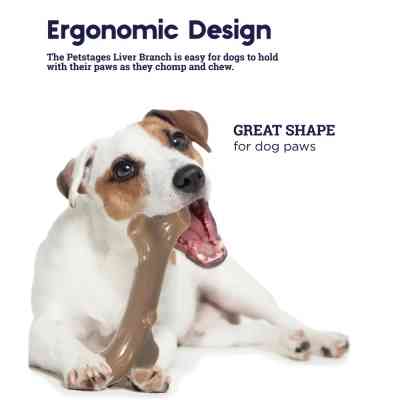 Игрушка для собак Petstages Гілка з ароматом печінки мала (0700603686099) Винница