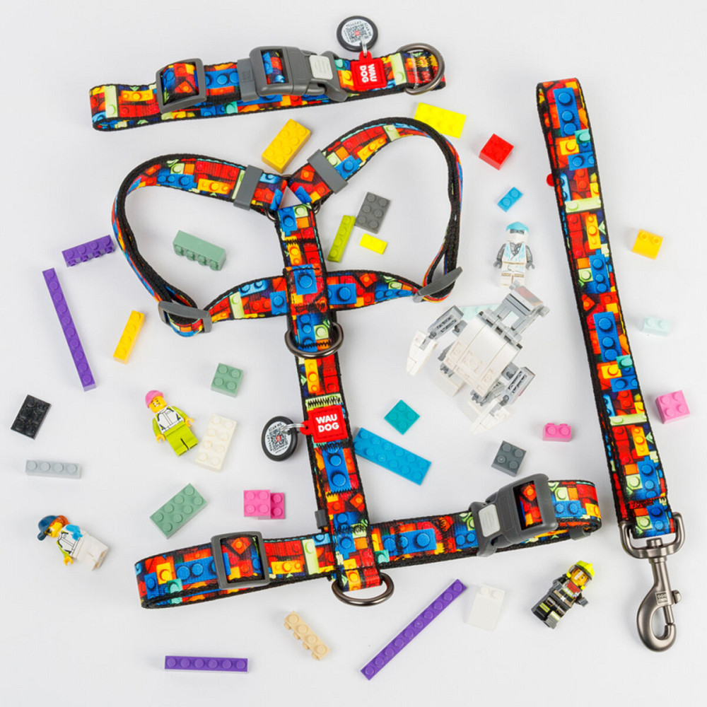 Ошейник для собак нейлоновый WAUDOG Nylon с QR паспортом, рисунок 