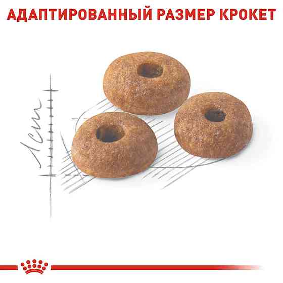Royal Canin FIT 32 (Рояв Канін Фіт 32) сухий корм для дорослих котів від 12 місяців до 7 років 2 кг. Запоріжжя