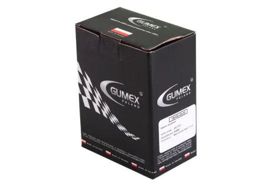 Модуль зажигания 2110 Gumex Винница