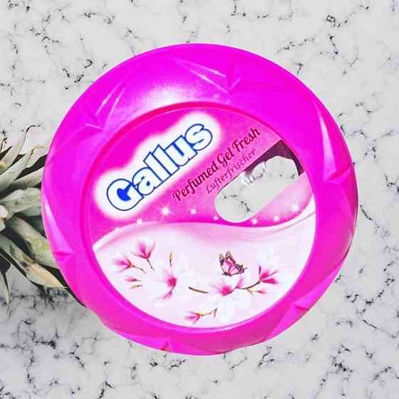 Парфумований освіжувач повітря в гелі цілодобової дії Gallus Magic garden 150 g. (Чарівний сад) Виноградов